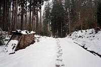  21. April 2013 - nocheinmal ist der Schnee zurückgekommen